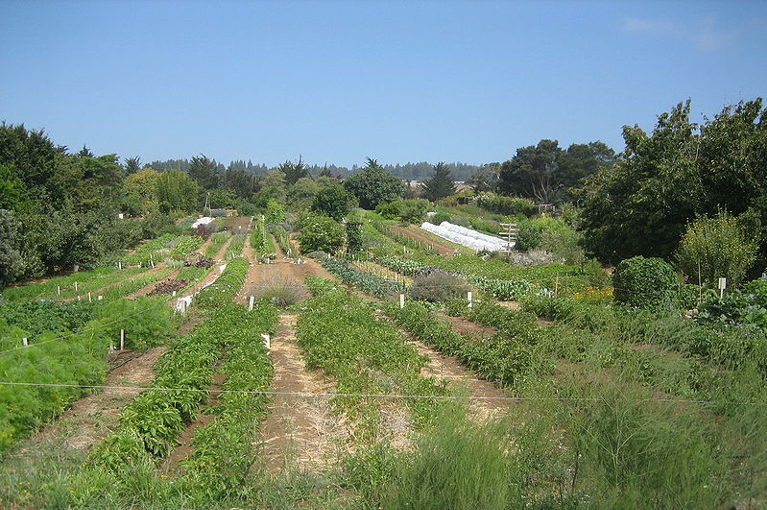 Agroecological farm
