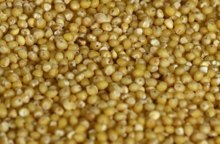 millet