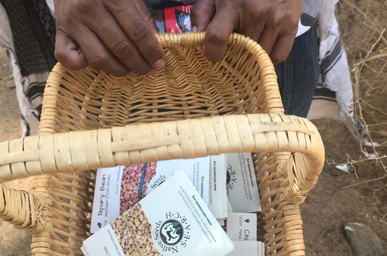 Native Seeds