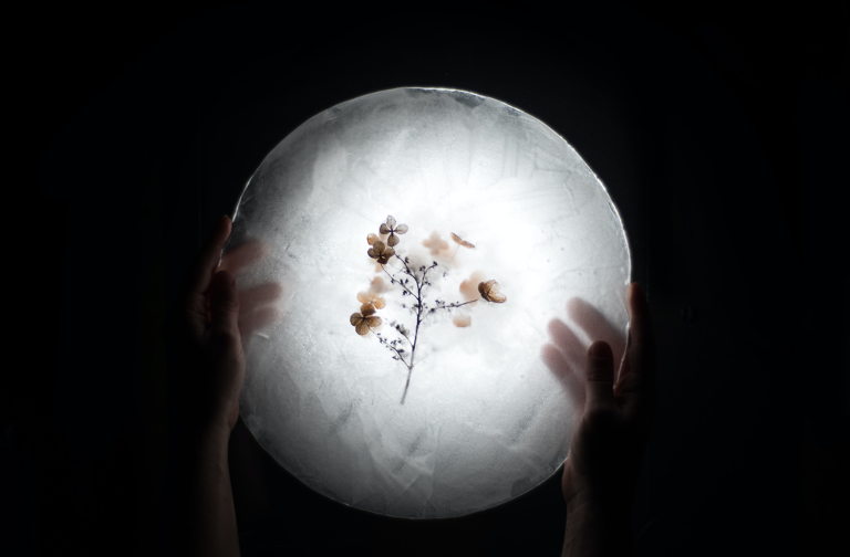 nature in our hands