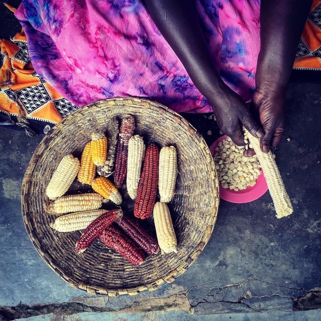 Woman saving seeds