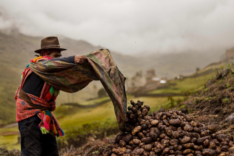 Walkers of Peru