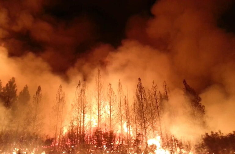The Rim Fire