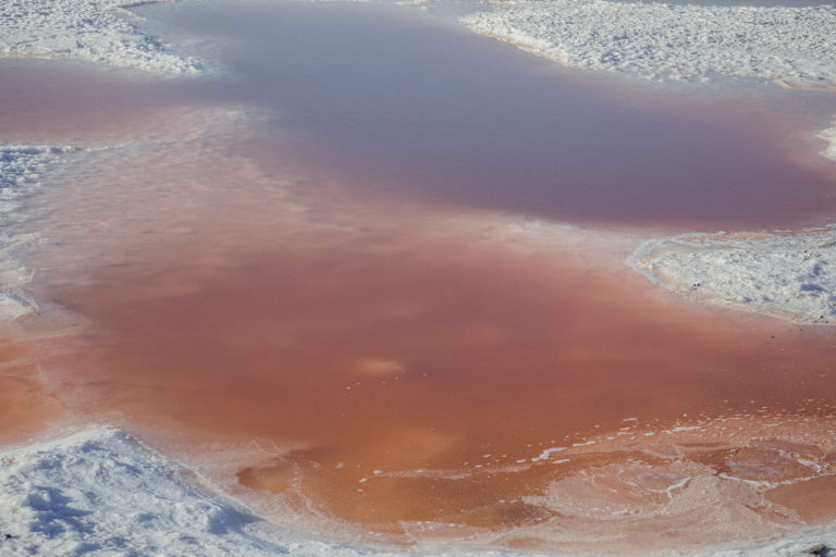 oil spill