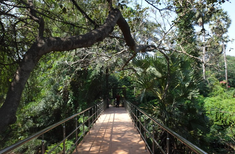 pathway in a garden