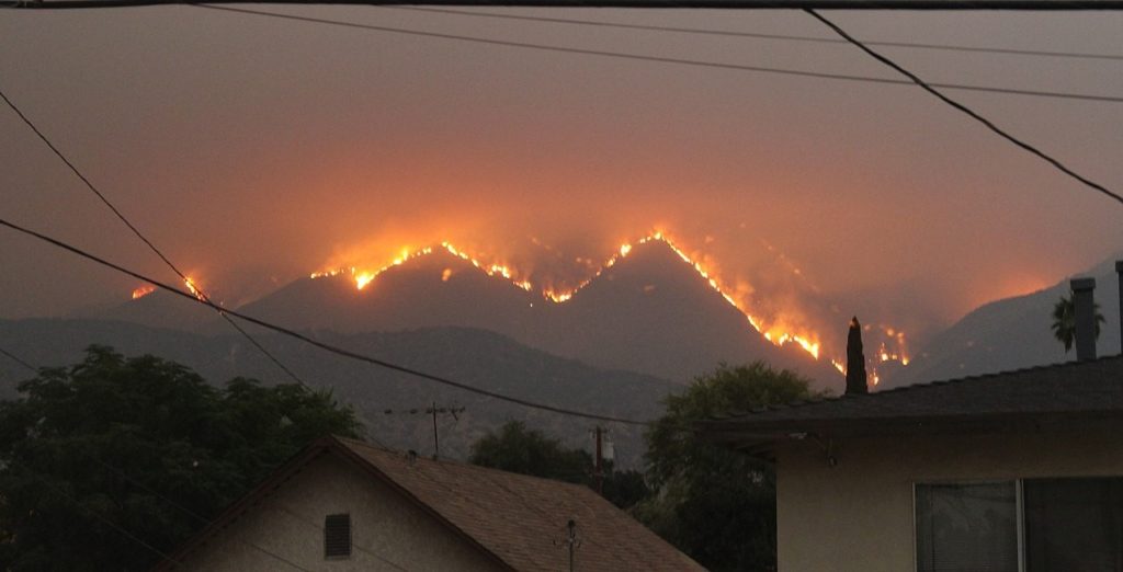 Bobcat fire