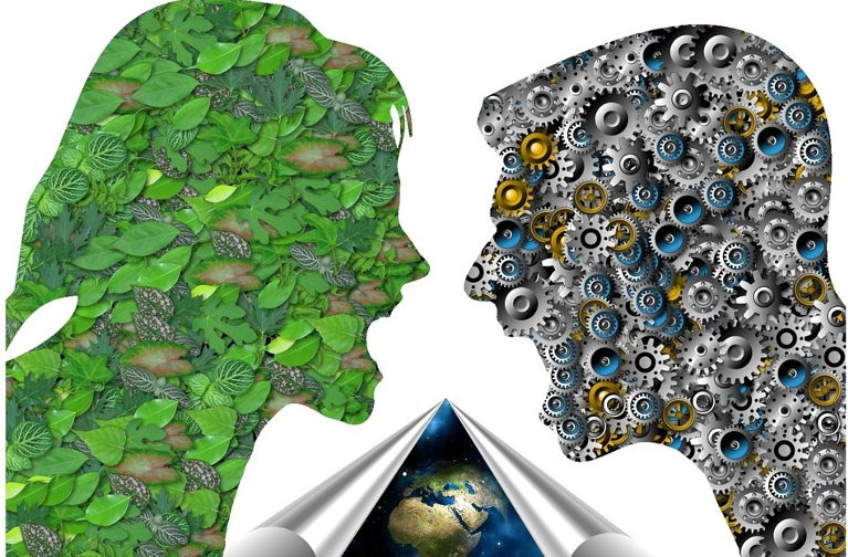 Ecology and progress screaming