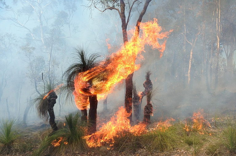 traditional burning techniques