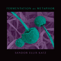 Fermentation cover