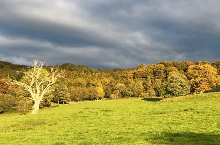 Kites Nest Farm