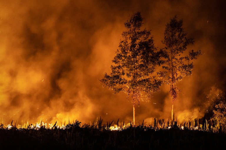 wildfire