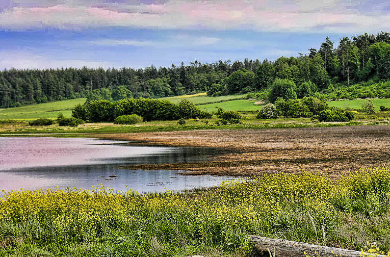 Swantown