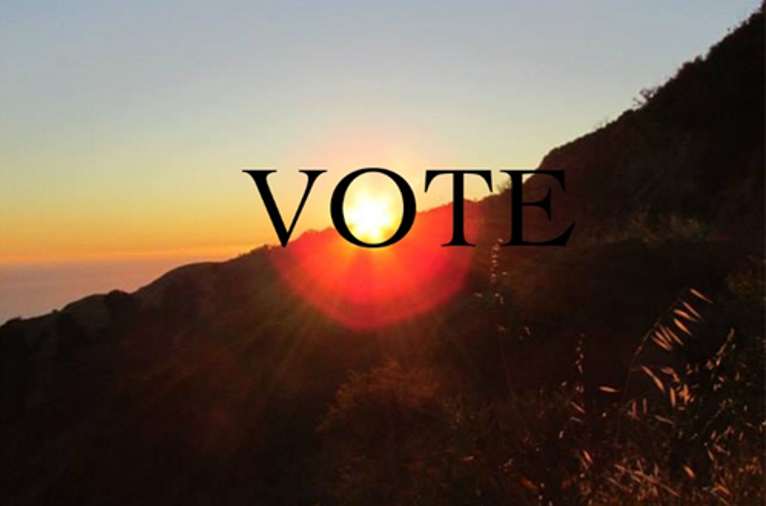 Vote