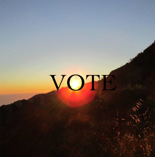 Vote