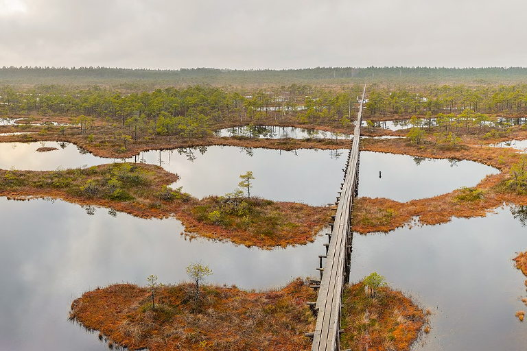 wetlands