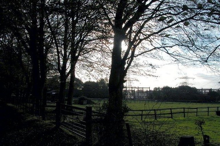 Smallholdings