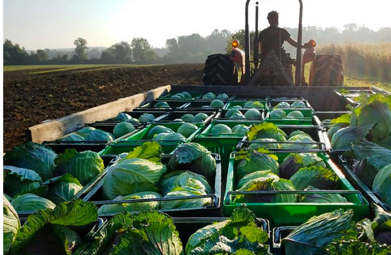 Roxbury Farm