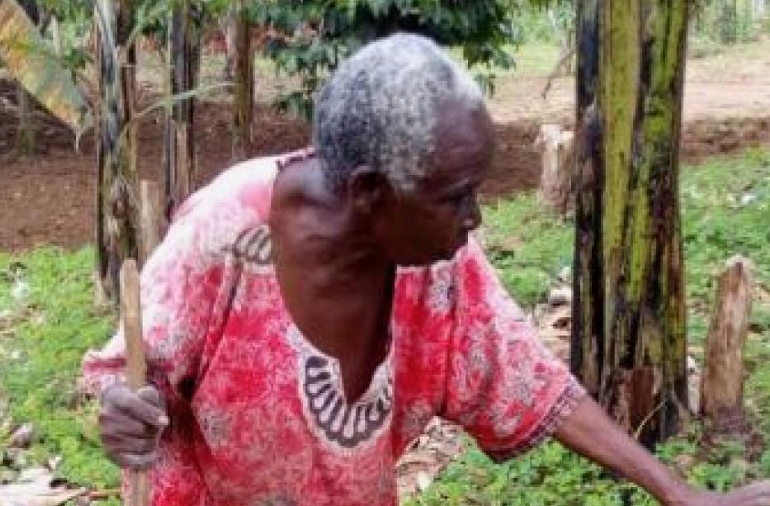 Evangeline Kagwiite. Dennis Tabaro