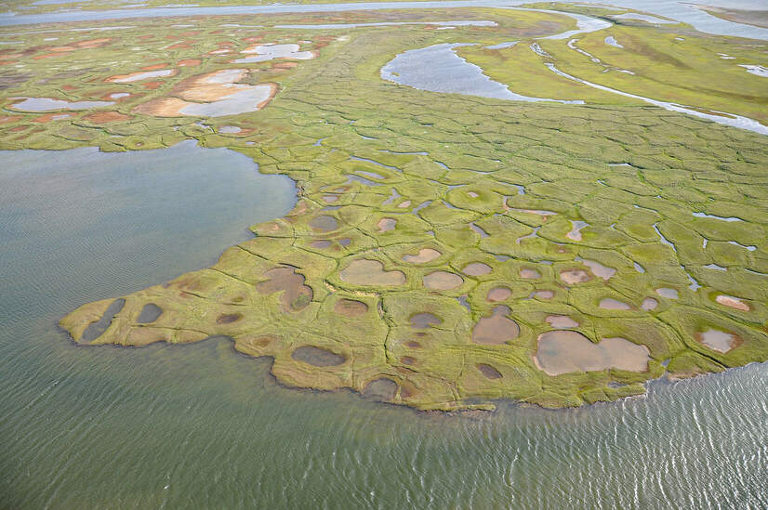 Beaufort Sea coastline