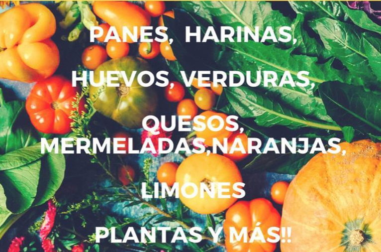 Slow Food Feria