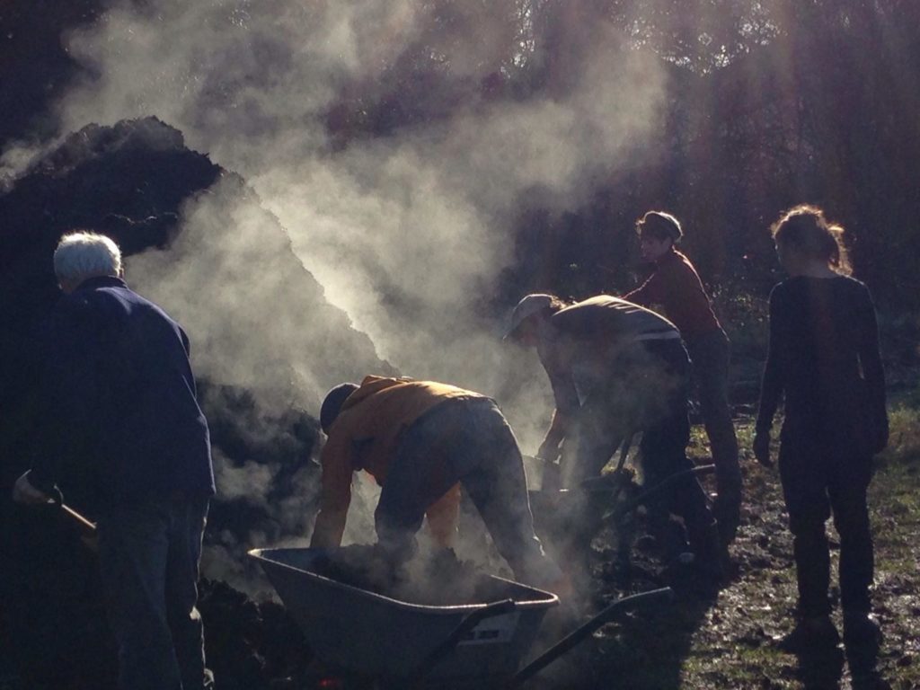 Shoveling compost