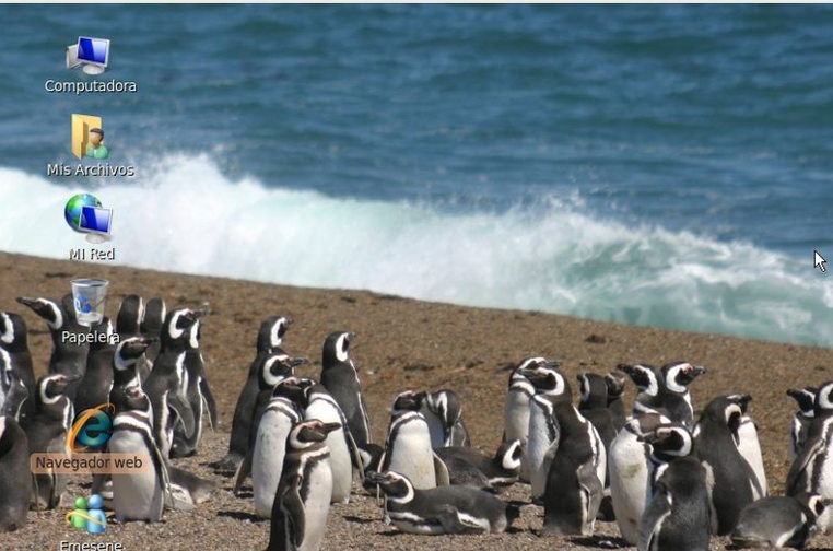 Linux penguins