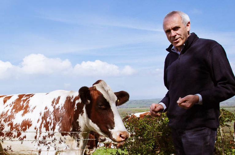Patrick Holden cows