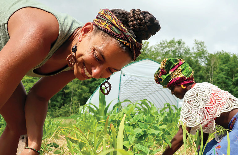 Tending maize plants at Soul Fire Farm