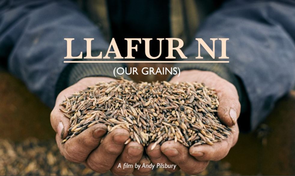 Llafur Ni