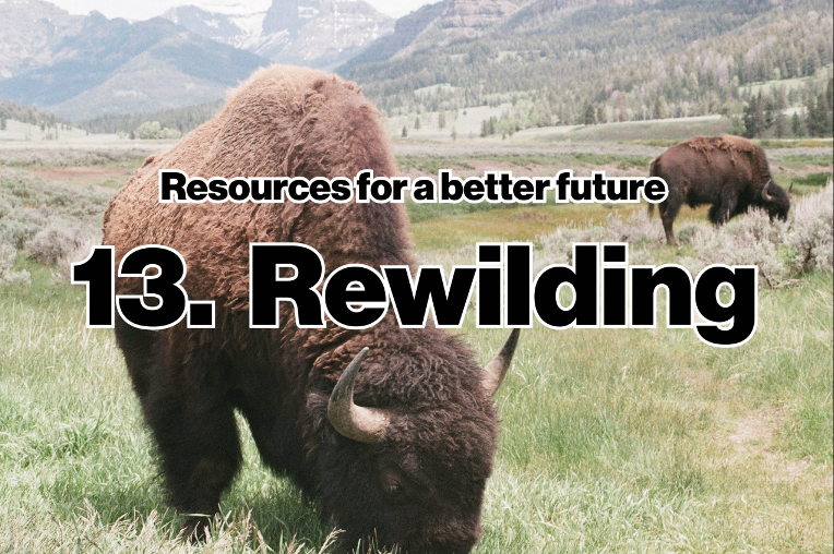 Rewilding