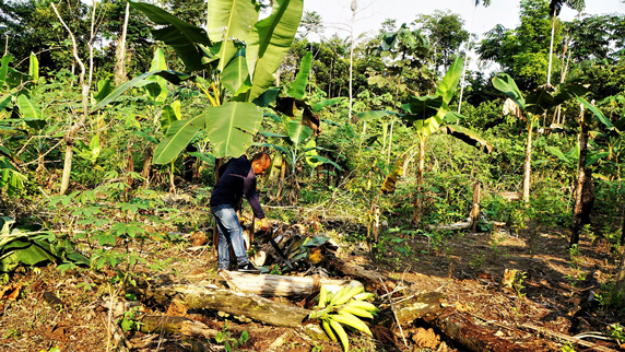 preparing chagra