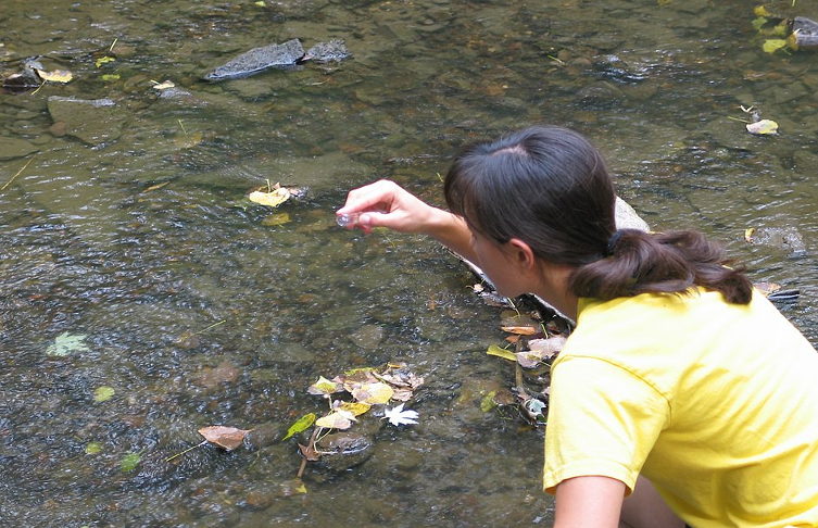 water sampling