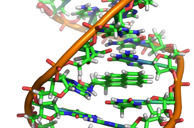 DNA molecule