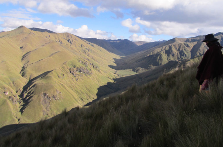 The Andean páramo