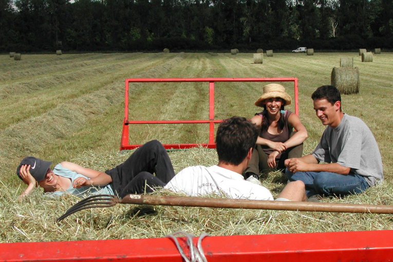 agriculture