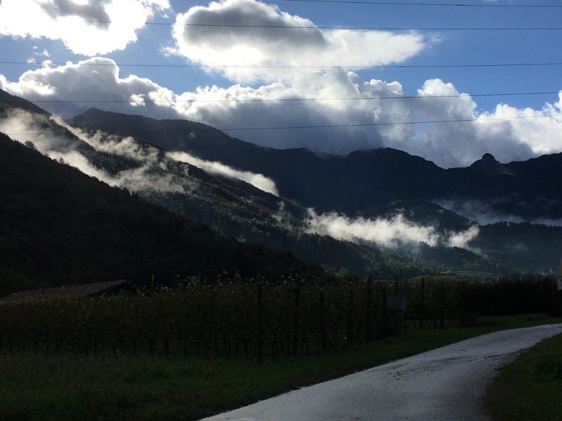 mountains, mist, crops