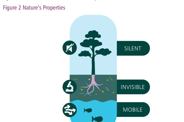 biodiversitychart
