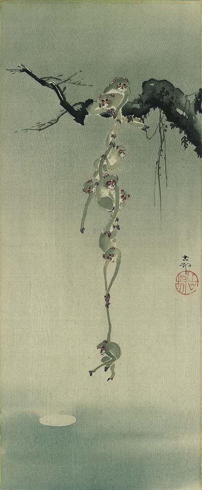monkeys reaching for the moon