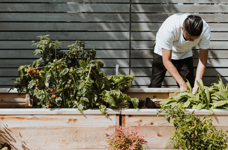 Local food growing