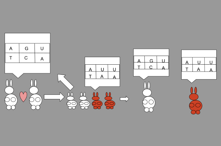 Genetic variation
