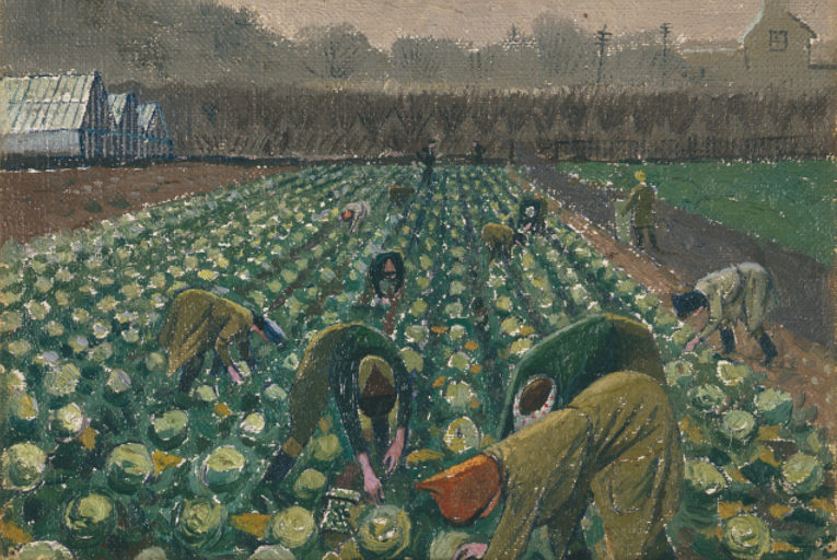 picking sprouts
