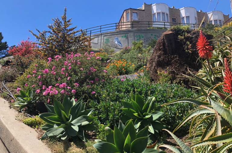 local garden