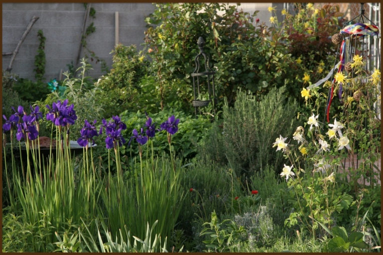 Spring profusion