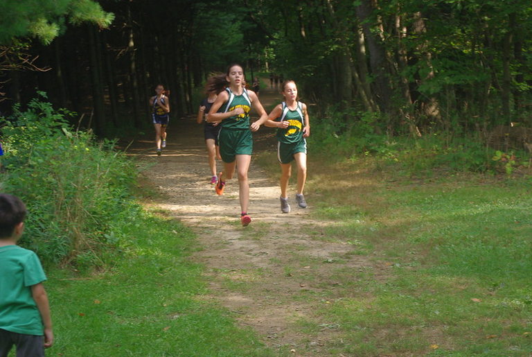 forest running