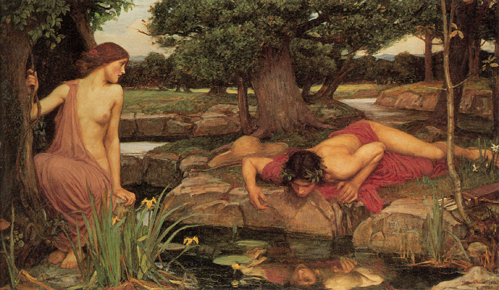 Narcissus
