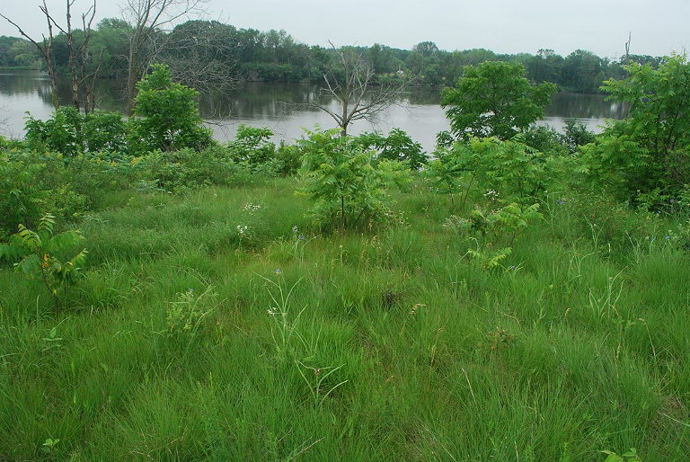 prairie