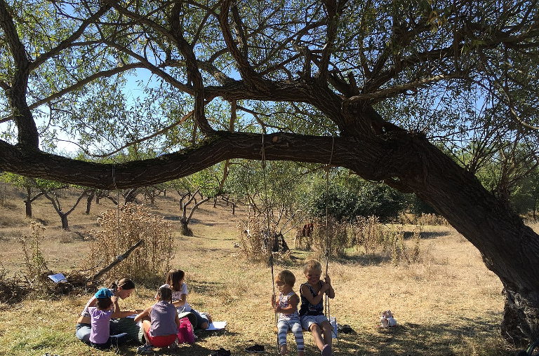 forest kindergarten