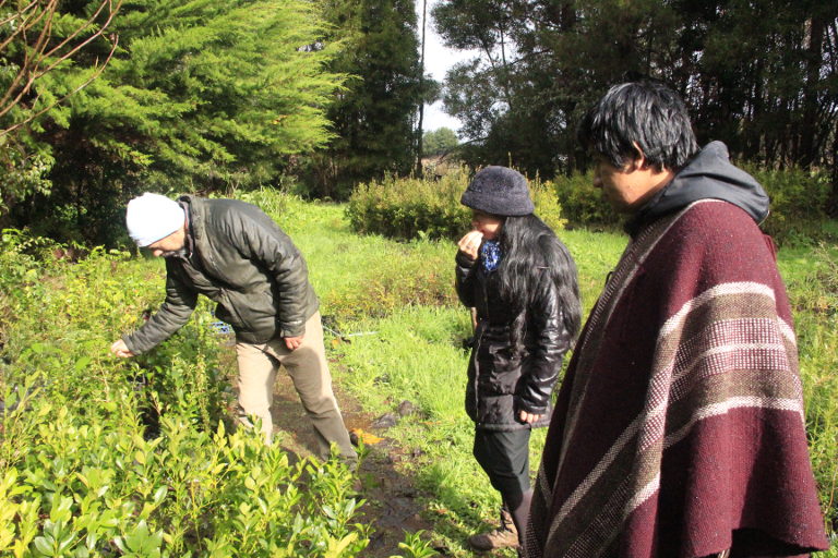 Lake Budi group members