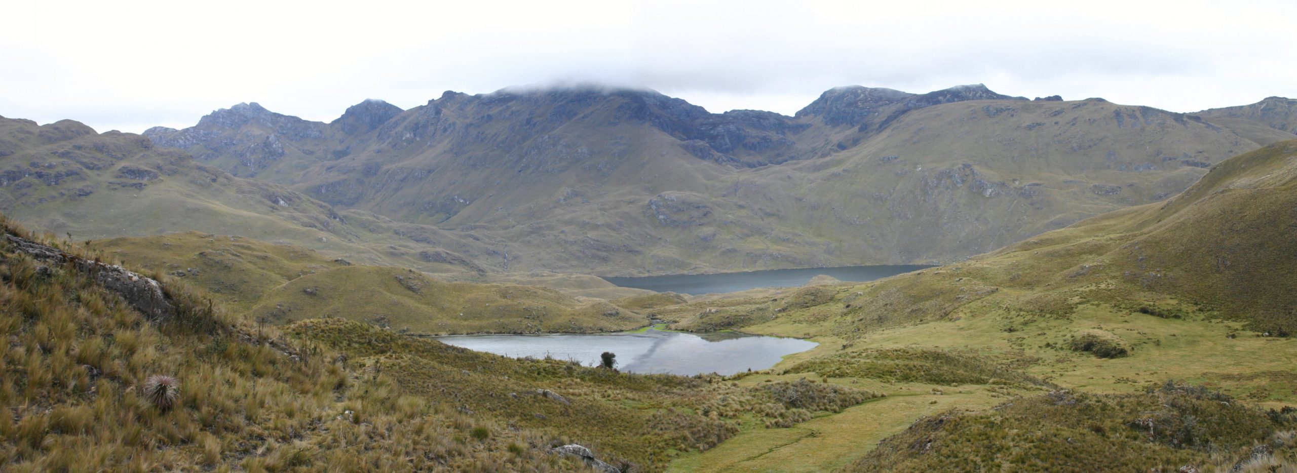 Páramo in Ecuador