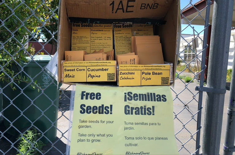 Seed libraries